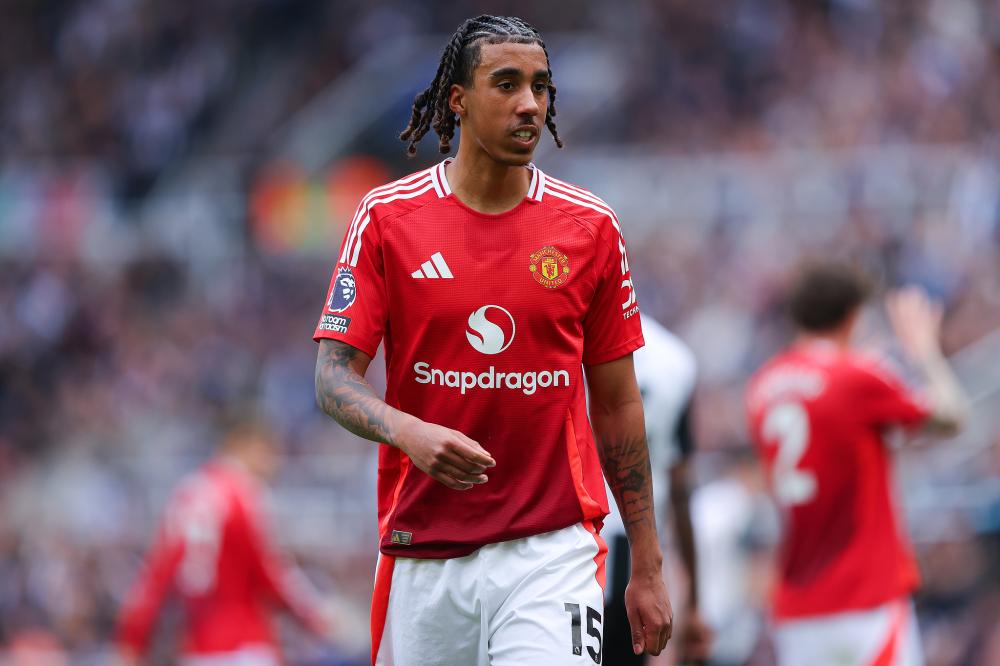 师和球迷关 师和球迷关